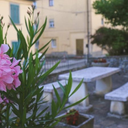 Casa Con Giardino In Mugello A 30 Minuti Da Firenze "Soleluna" Osteria di Novoli 外观 照片