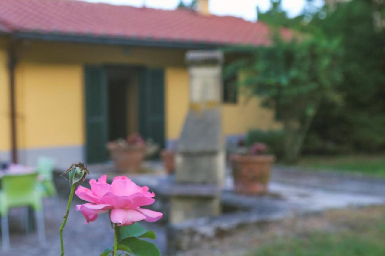 Casa Con Giardino In Mugello A 30 Minuti Da Firenze "Soleluna" Osteria di Novoli 外观 照片